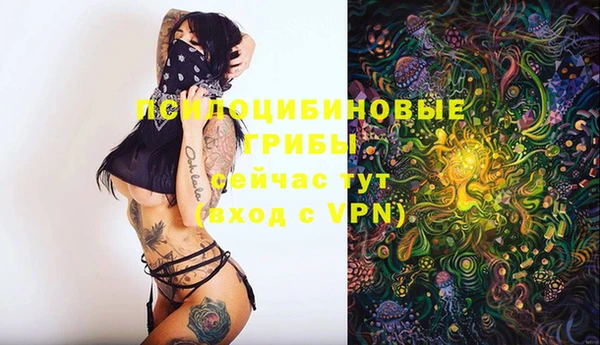 2c-b Арсеньев