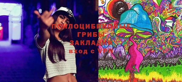 2c-b Арсеньев